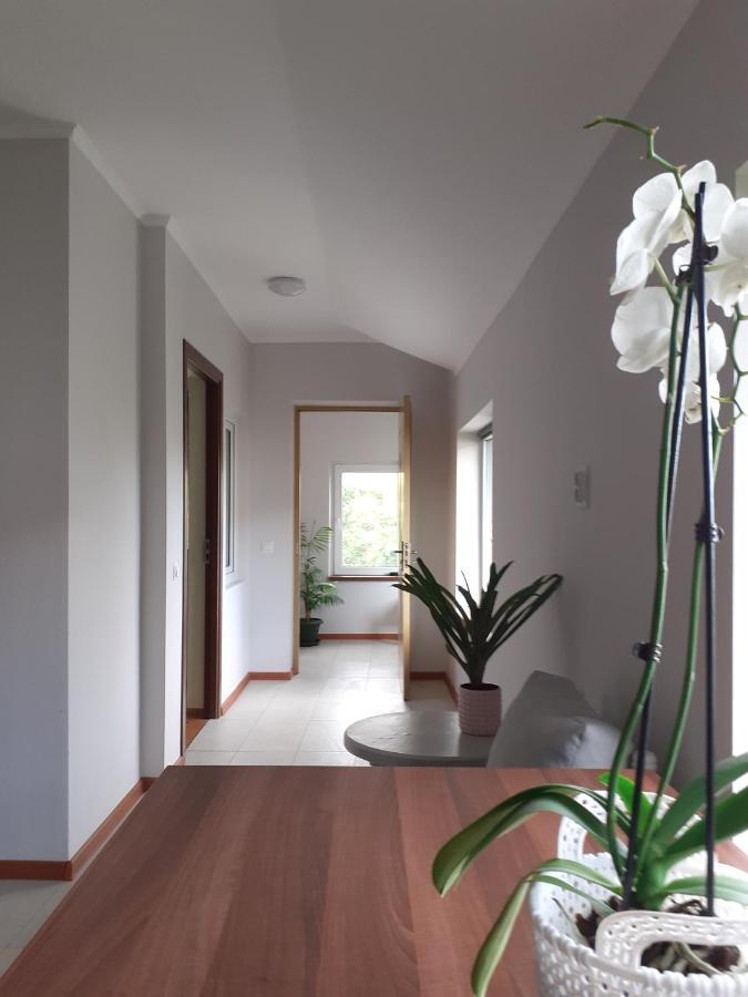 Muzicii 11 - Cozy Seaside Apartments Năvodari Екстериор снимка
